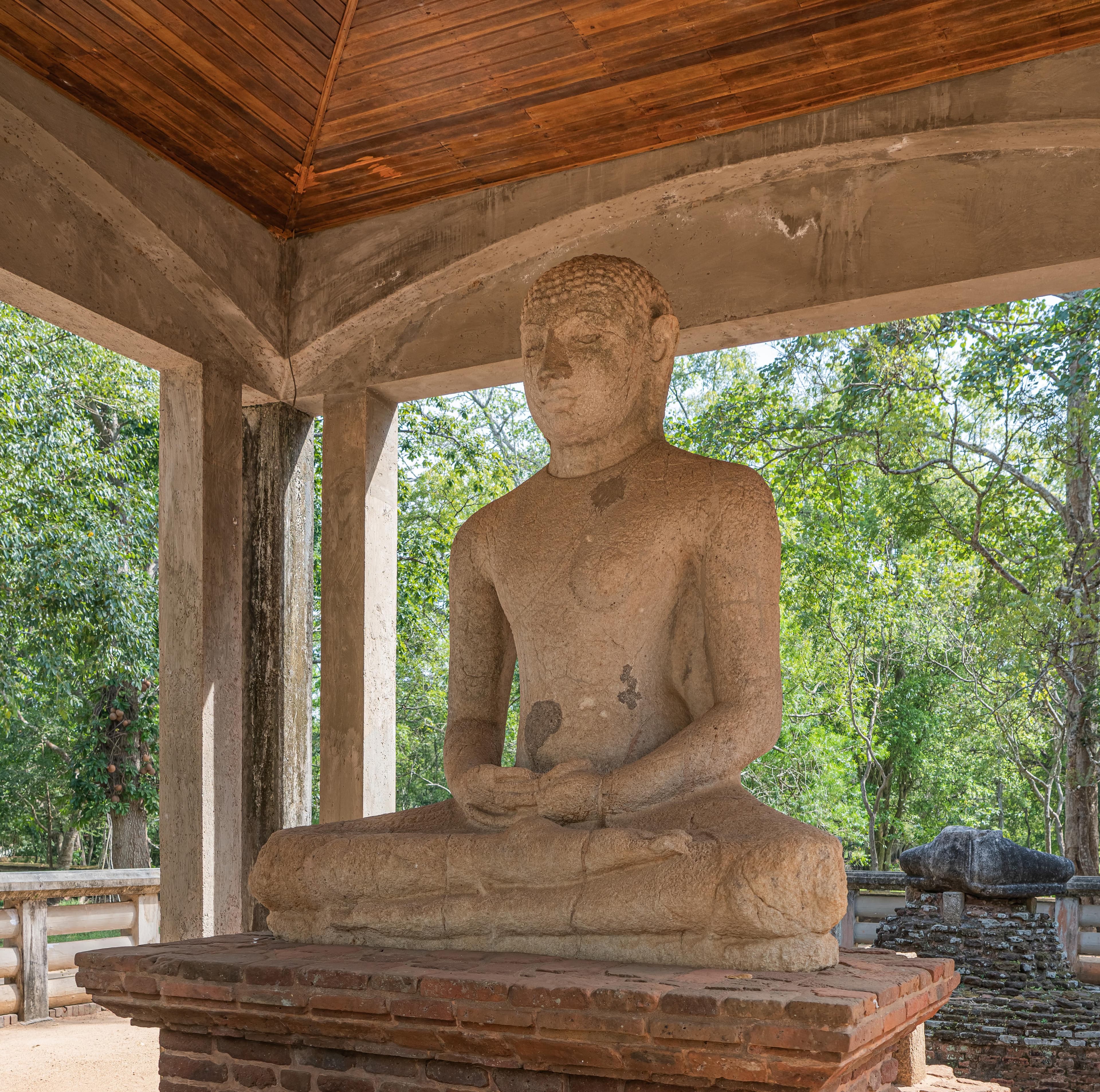 Samadhi Buddha Statue: The Silent Canopy